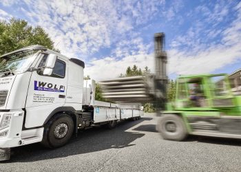 Wolf_13_08_2021_7001