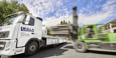 Wolf_13_08_2021_7001