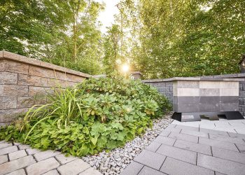 Wolf_13_08_2021_7636